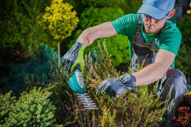 landscaping services Belle